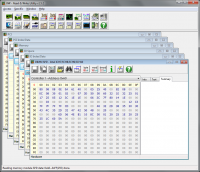 RWEverything.png