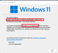 version_et_édition_windows_11.png