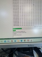 IMG_2464.jpeg