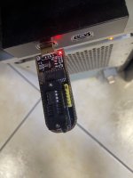 IMG_2411.jpeg