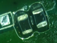 13 dépose bobines de remplacement.jpg