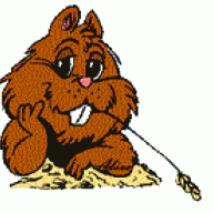 Marmotte