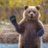 BERN l'Ours