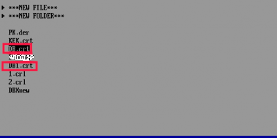 9_1_DB_options.png