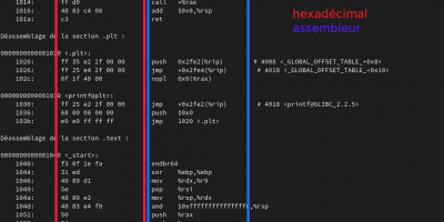 un_exemple_language_proche_machine.png