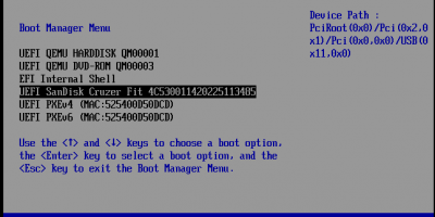 10_usb_windows11_sans_secureboot.png
